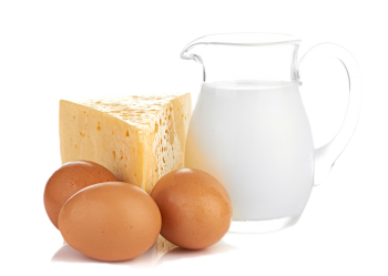 dairy v2