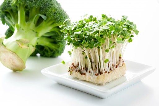 Sulphoraphane and brocoli