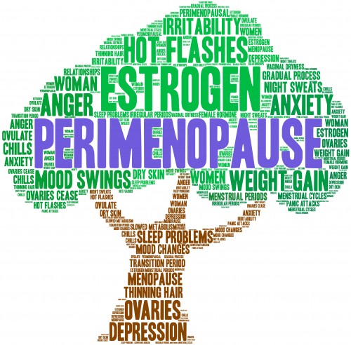 perimenopause final
