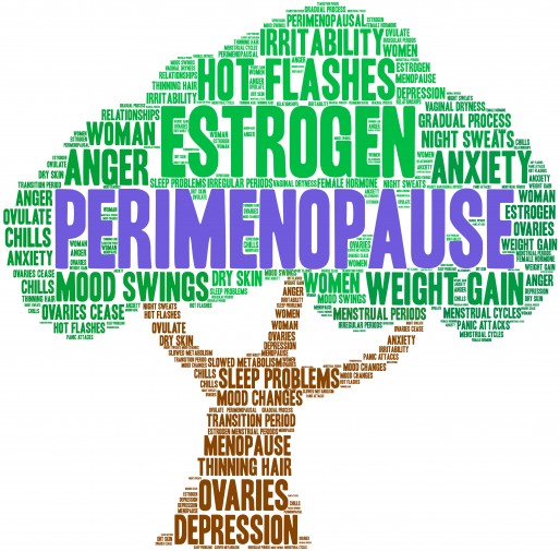 perimenopause final